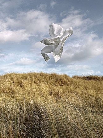 BetterChoice Flying Shirt